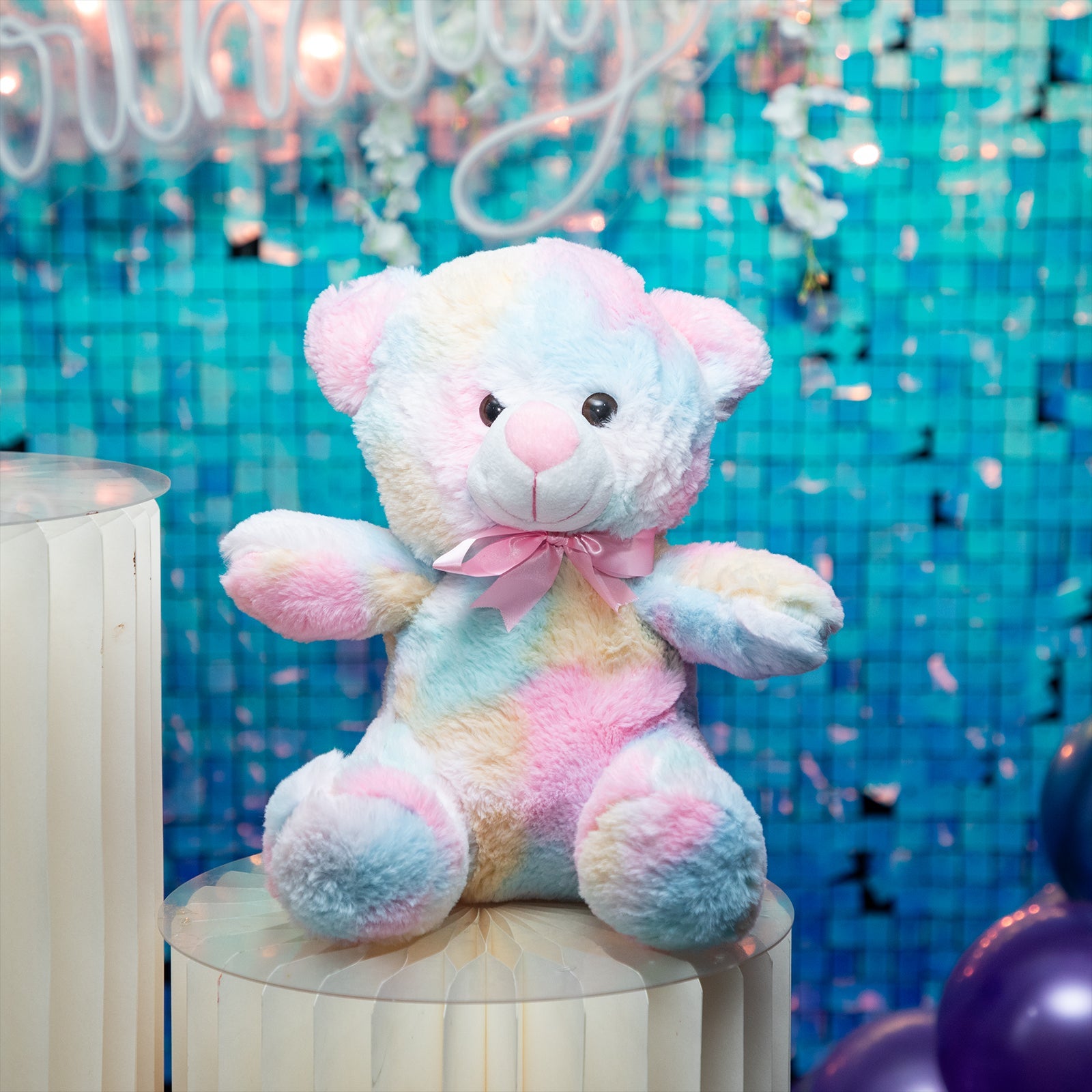 Small Teddy CM ND Celebrates